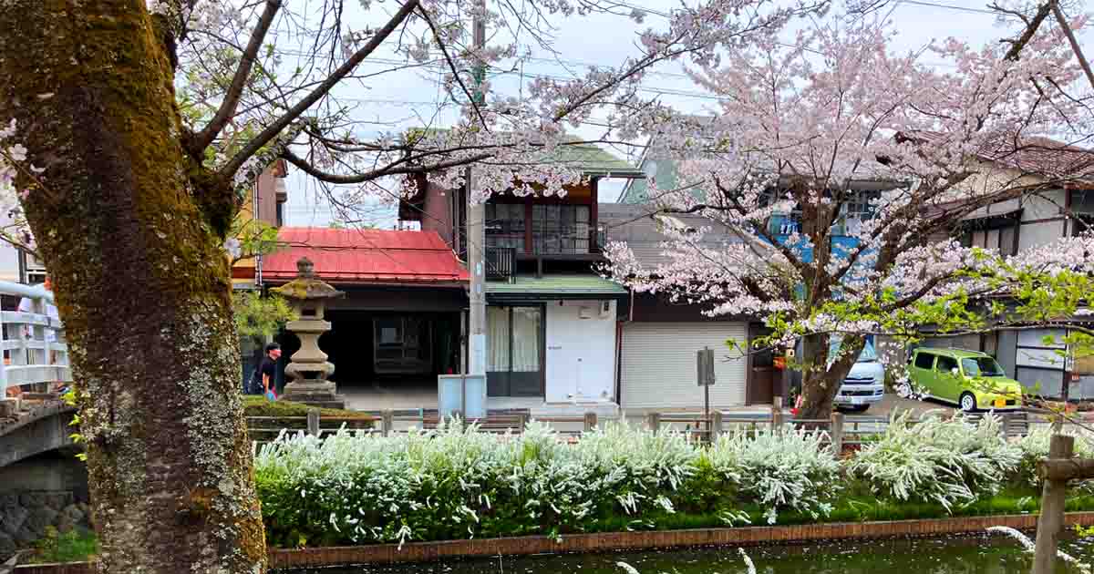 [Higashiyama Promenade] A walking spot on a hilltop where temples gather